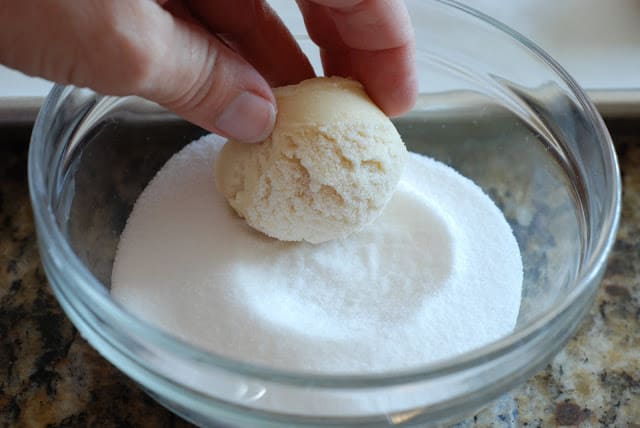 Cookie dough rolled in sugar