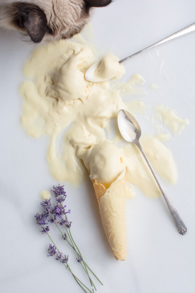 Honey Lavender Ice Cream