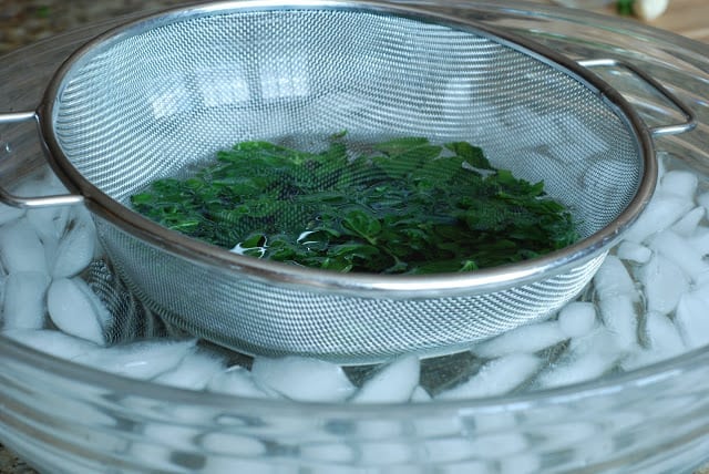 Mesh strainer of blanched basil and parsley going into large bowl of ice water