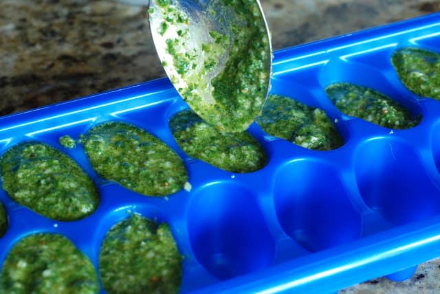 Perfect basil pesto spooned into ice cube trays