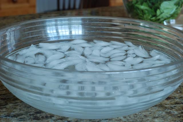 Bowl of ice water