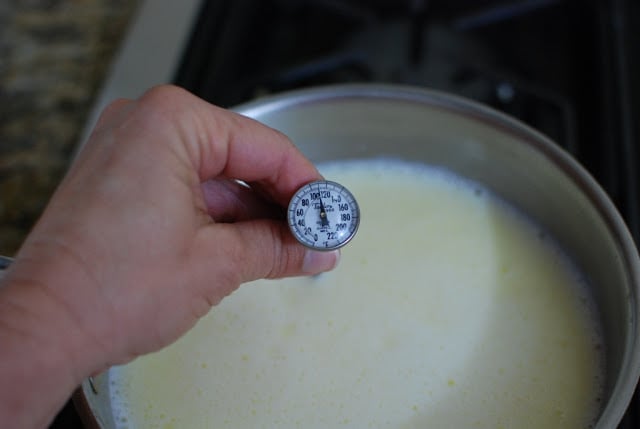 instant read thermometer in milk