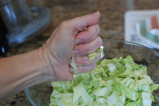 Hand squeezing water our of cabbage