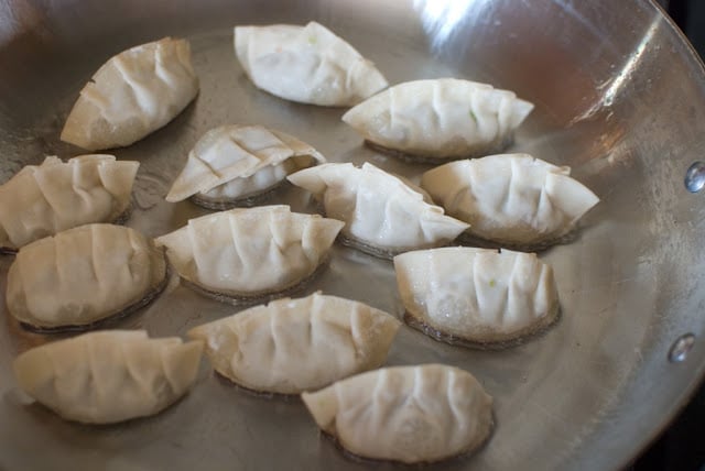 Potstickers cooking in pan