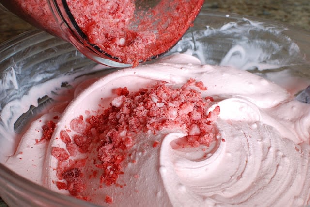 Adding more chopped berries to the food processor.