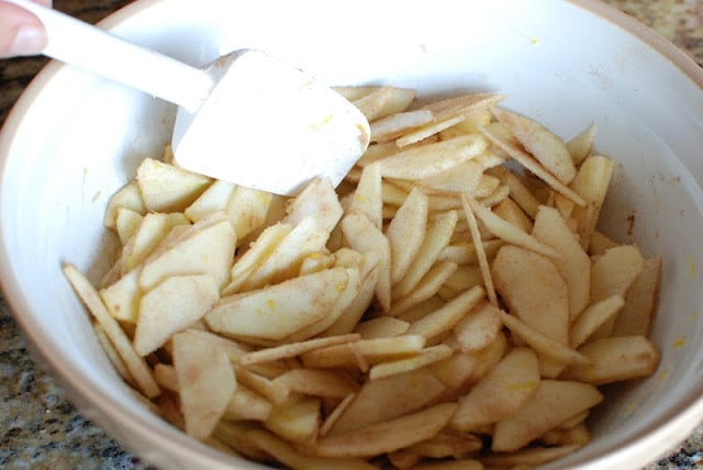 Thin slices of apples mixed with cinnamon and sugar.