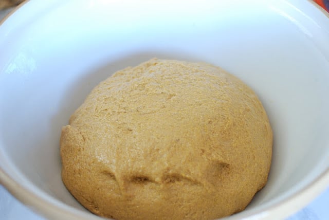 Bread dough in bowl