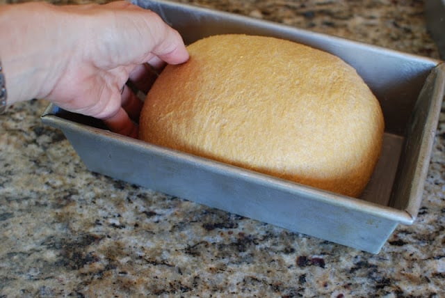 bread dough in pan