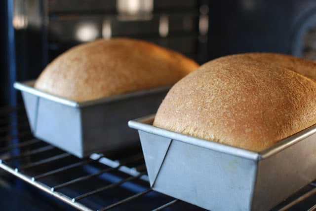 Bread in oven baking