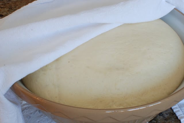 Risen Spudnut dough in large bowl.