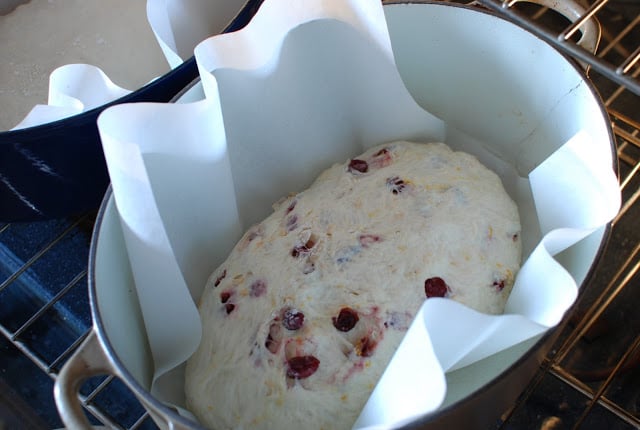 Cranberry orange dough placed in large pot with parchment paper