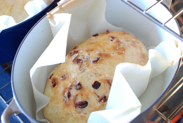 Brown loaf cranberry orange bread in pot on parchment paper