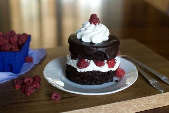 chocolate glazed zucchini cake topped with whipped cream and raspberries