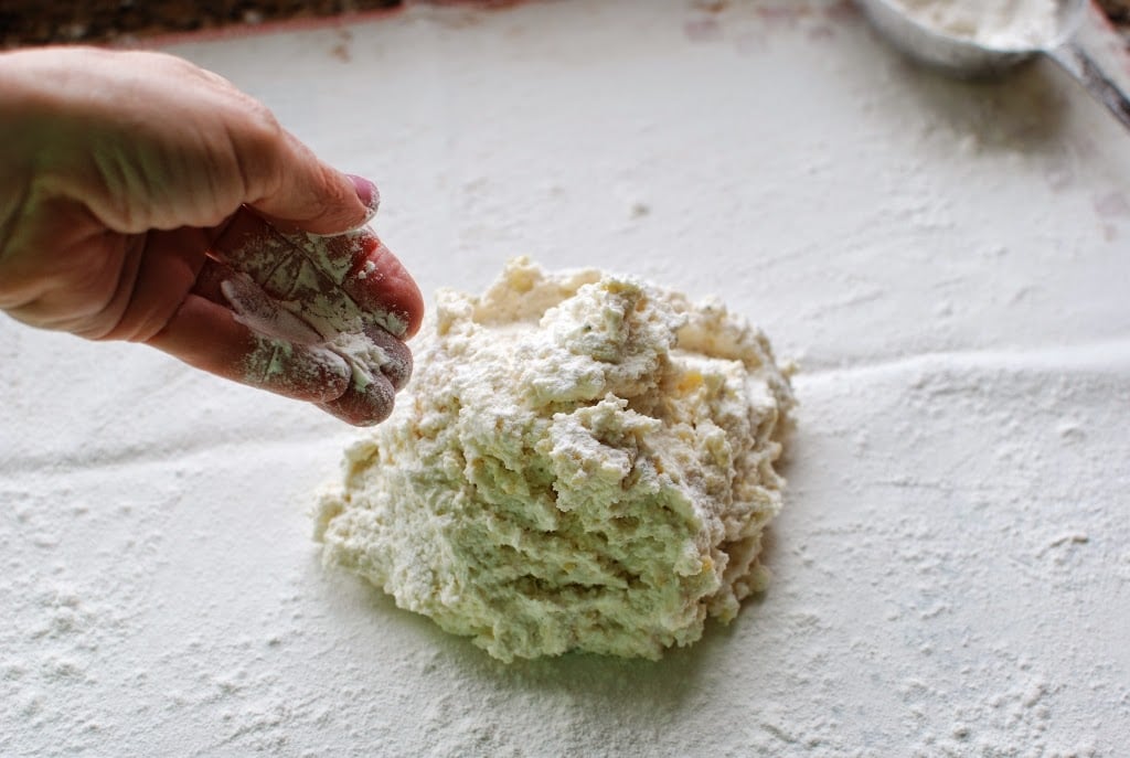 Ricotta gnocchi dough on floured cloth