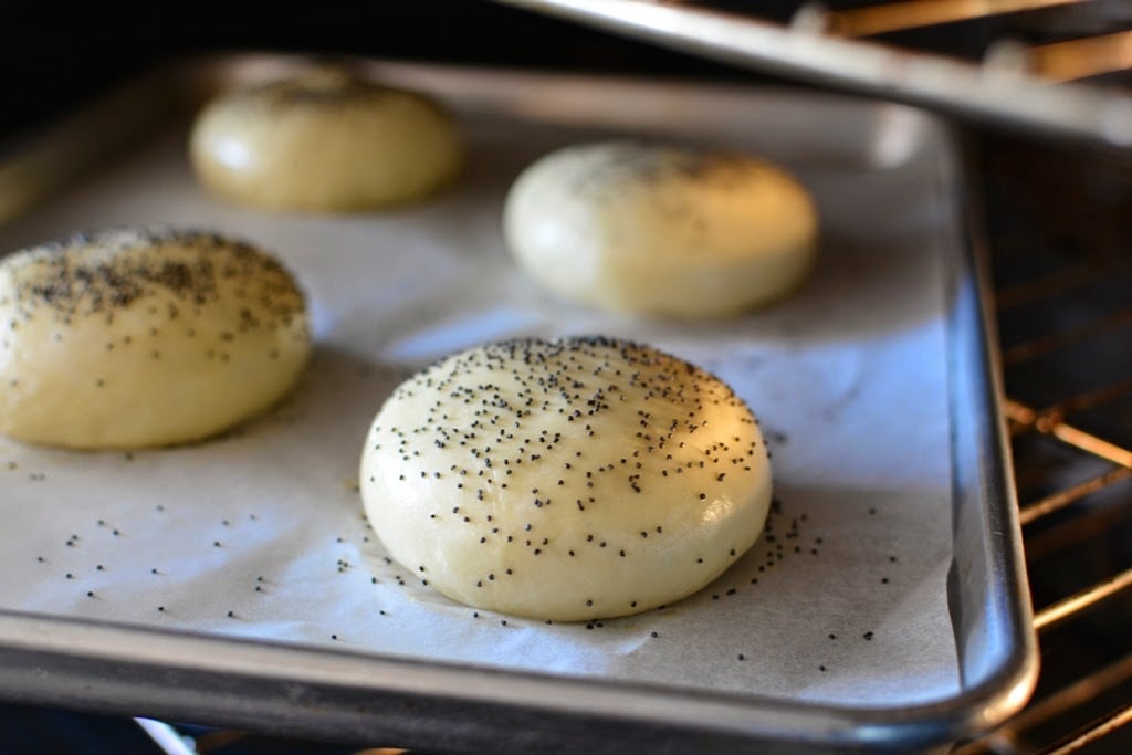 risen poppy seed covered buns in oven