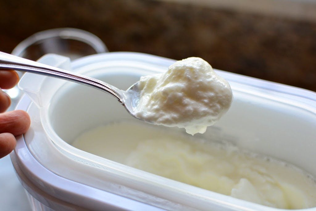 Yogotherm Homemade Greek Yogurt Maker: E69