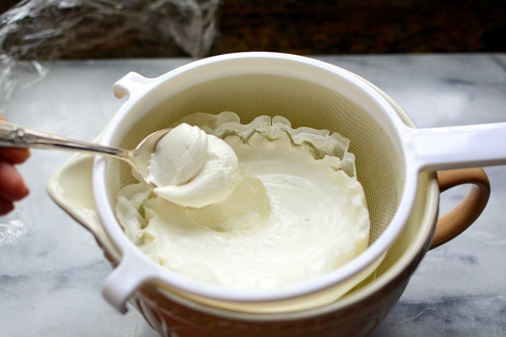 Yogotherm Homemade Greek Yogurt Maker: E69