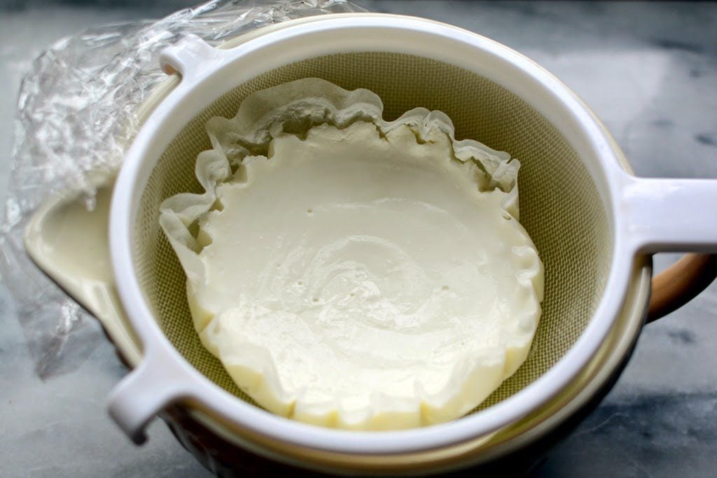 Yogotherm Homemade Greek Yogurt Maker: E69