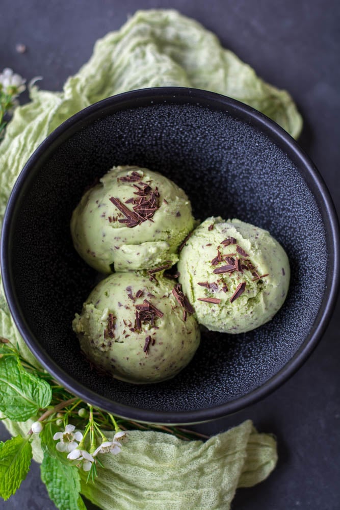 Spring Mint Chip Ice Cream