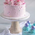 vanilla and chocolate party cakes for kids