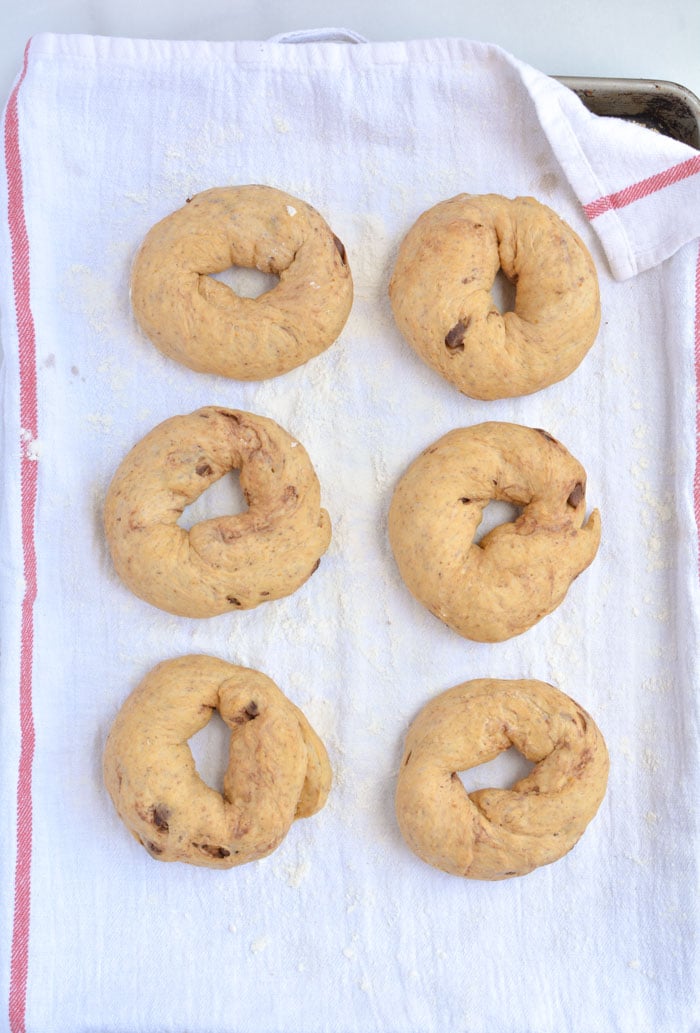 pumpkin bagels on cloth