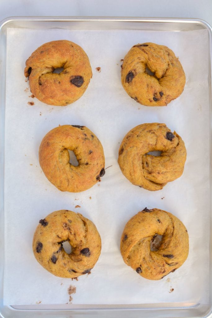 pumpkin bagels on baking sheet