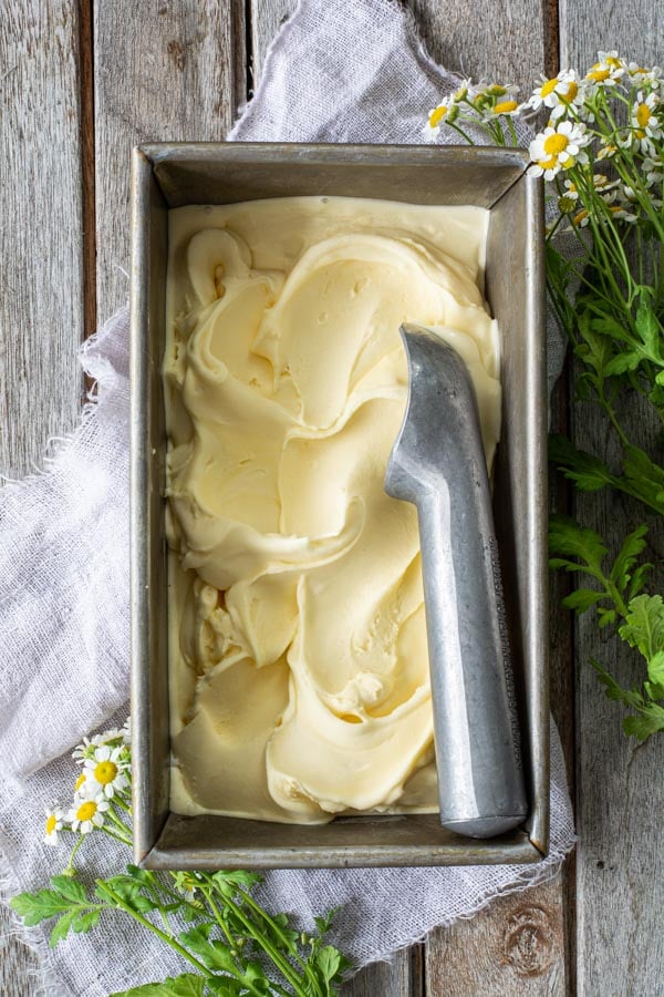 gray tin filled with homemade vanilla ice cream with a scoop