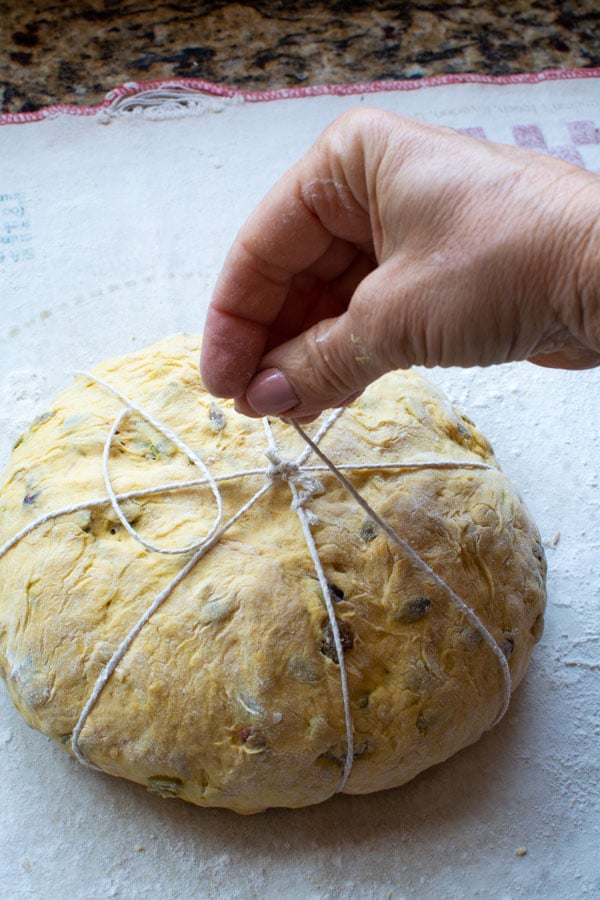 Pumpkin bread dough shaped into a round boule with string crossing over to create a pumpkin shape.