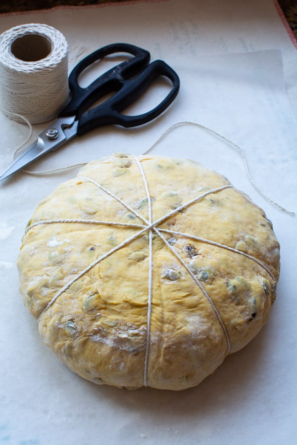 Pumpkin bread dough shaped into a round boule with string crossing over to create a pumpkin shape.