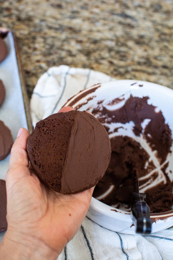 Hand holding chocolate cookie with chocolate icing on one half