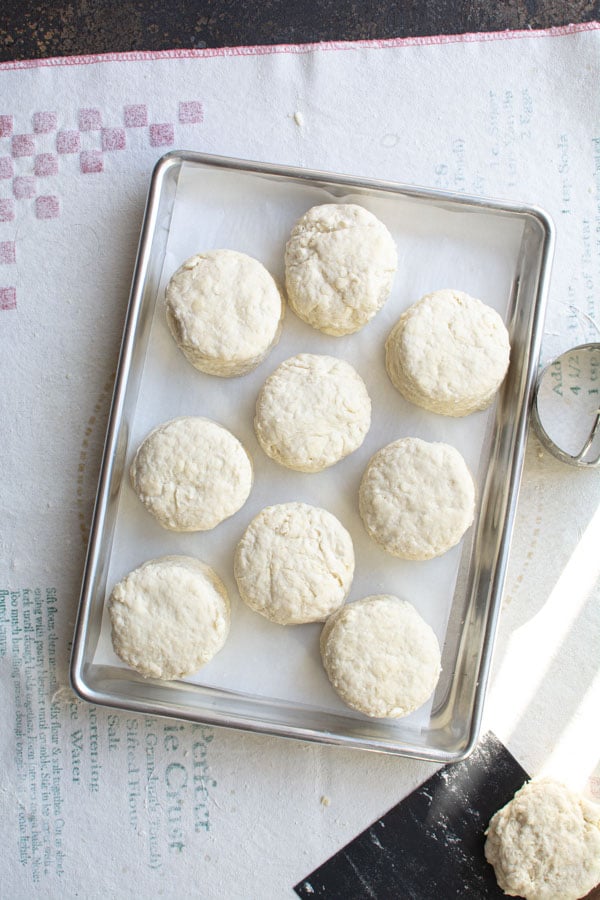 Several cut biscuits on a parchment lined baking sheet
