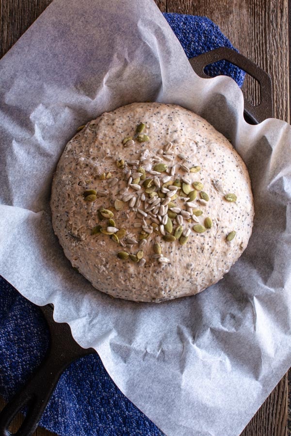 Risen round loaf of Dakota bread on parchment paper