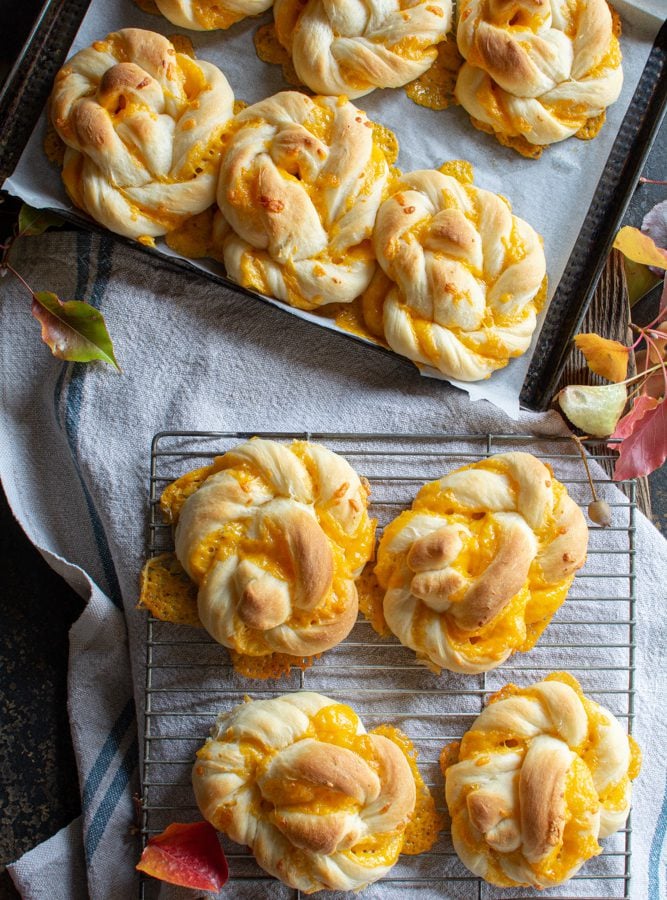 Giant cheddar twists on a cooling rack and some on a baking sheet with a linen towel back drop with autumn leaves